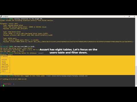 SQL Injection with SQLMap: Automating Vulnerability Testing