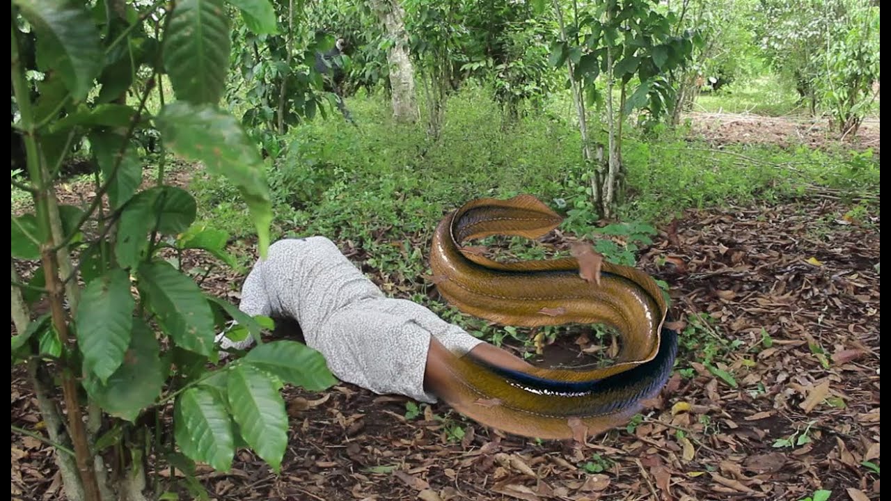 Nagwano Part 1 - New Ugandan Movie   