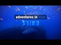 Similan &amp; Surin | Dive into Thailand&#39;s Paradise