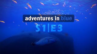 Similan & Surin | Dive into Thailand's Paradise