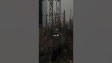 قرآن كريم بصوت الشيخ علي جابر #pubgmobile #قران_كريم #foryou #fyp #fypシ #قرآن #علي_جابر #freefire