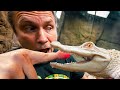 ALBINO ALLIGATOR ATTACKED ME!! VERY PAINFUL!! | BRIAN BARCZYK