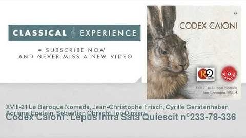 Anonymous : Codex Caioni : Lepus Intra Sata Quiescit n°233-78-336