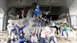 Harlem Shake Seattle Area Chivers Chivettes