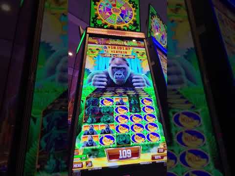 Fatpirate Casino Bonus Code: Genießen Sie Online-Casino-Spiele in der Schweiz