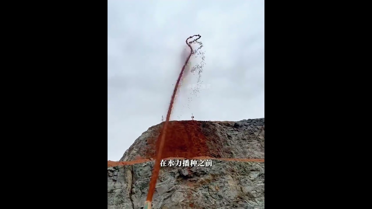 看上去就像在喷漆，两周后却能长出成片草坪？ #水力播种 #边坡绿化 #绿化 #科普