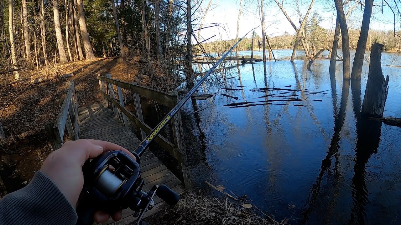 Cold & Flooded Bass Fishing w/ Swim Jigs (Queen + Megabass)