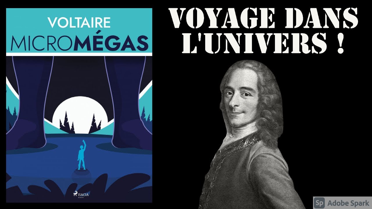 Micromegas Voltaire Nombre De Pages "Micromégas" de Voltaire. #voltaire #Lumières #Philosophie #littérature