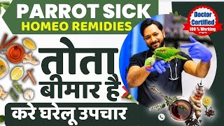 Tota Bimar Ho To Kya Kare  | Parrot Bimar Ho Jaaye To Kya Karen Baby Parrot  Sick Treatment at Home