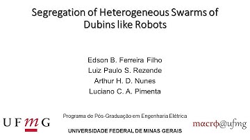 Segregation of Heterogeneous Swarms of Dubins like Robots