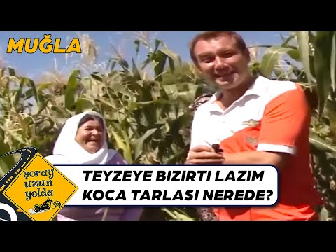 Şoray Uzun, Koca İsteyen Teyzenin Yanında - Muğla | Şoray Uzun Yolda