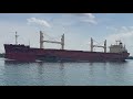 Saltwater Ship Federal Caribou