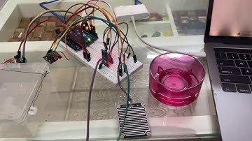 DIY Team 2 Project Final Week Video