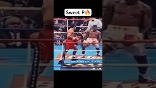 Whittaker was embarrassing fighters😂💯#boxing #boxer #viral #knockout  #shorts  #boxingtraining