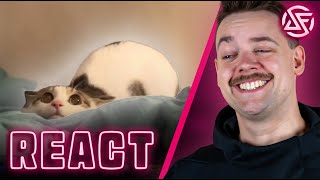 KEINER glaubte es - BRUDER bestätigt 🤣 UNUSUAL MEMES COMPILATION V337 - DoktorFroid React