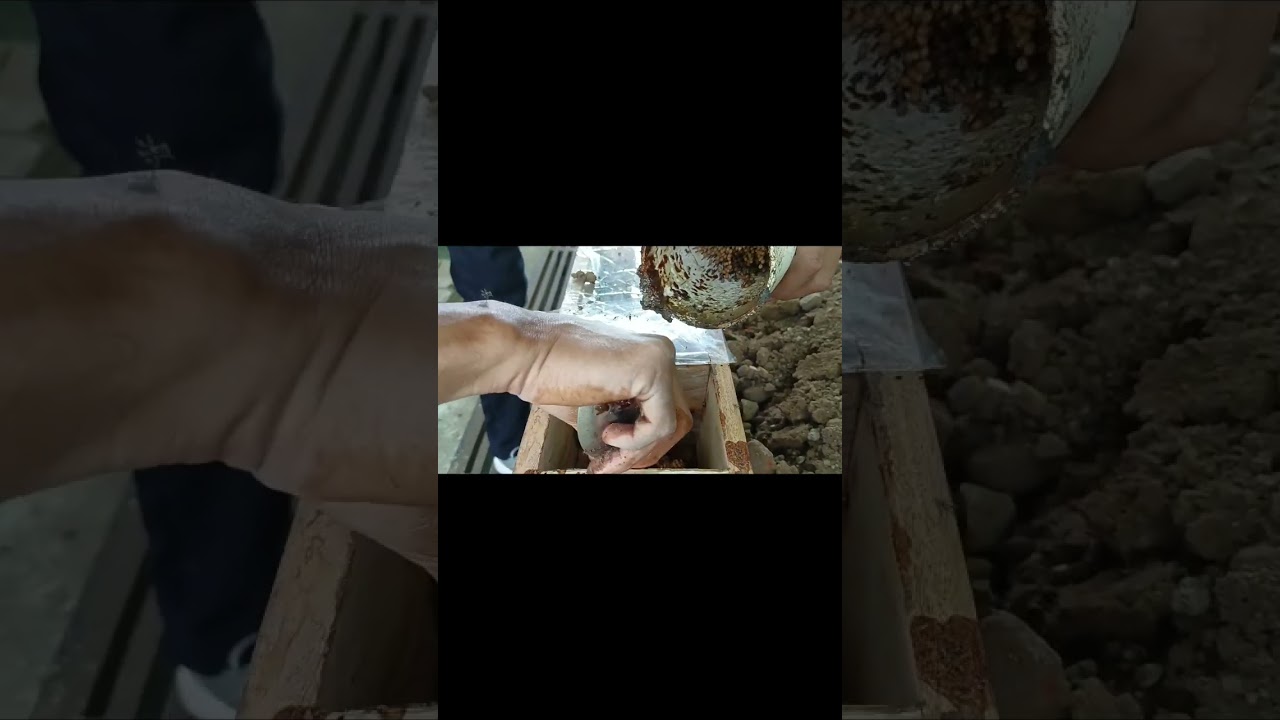 Cara memindahkan lebah klanceng ke kotak budidaya