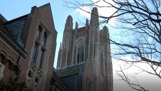 Ecosystem Integration in Career Services