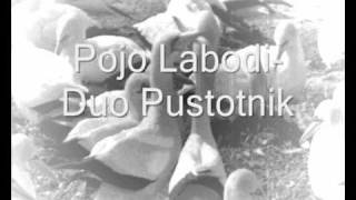 Pojo Labodi-Duo Pustotnik.wmv