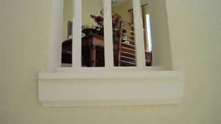 MVI_0524.AVI