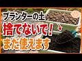【プランターの土】捨てるのはもったいない!誰でも簡単に再生できる最強のリメイク法♪おいしい野菜を作る土づくり【初心者・家庭菜園】
