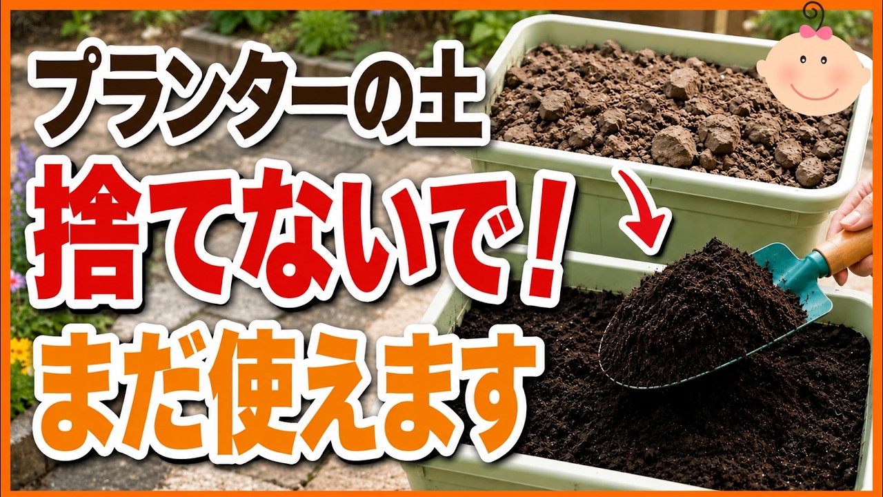 【プランターの土】捨てるのはもったいない!誰でも簡単に再生できる最強のリメイク法♪おいしい野菜を作る土づくり【初心者・家庭菜園】