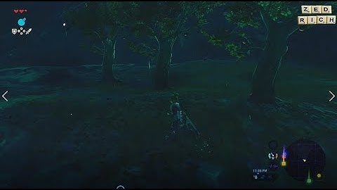 The Mystery of the Three Identical Trees | The Legend of Zelda: Breath of the Wild