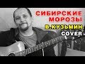 СИБИРСКИЕ МОРОЗЫ - В. КУЗЬМИН (COVER НА ГИТАРЕ)