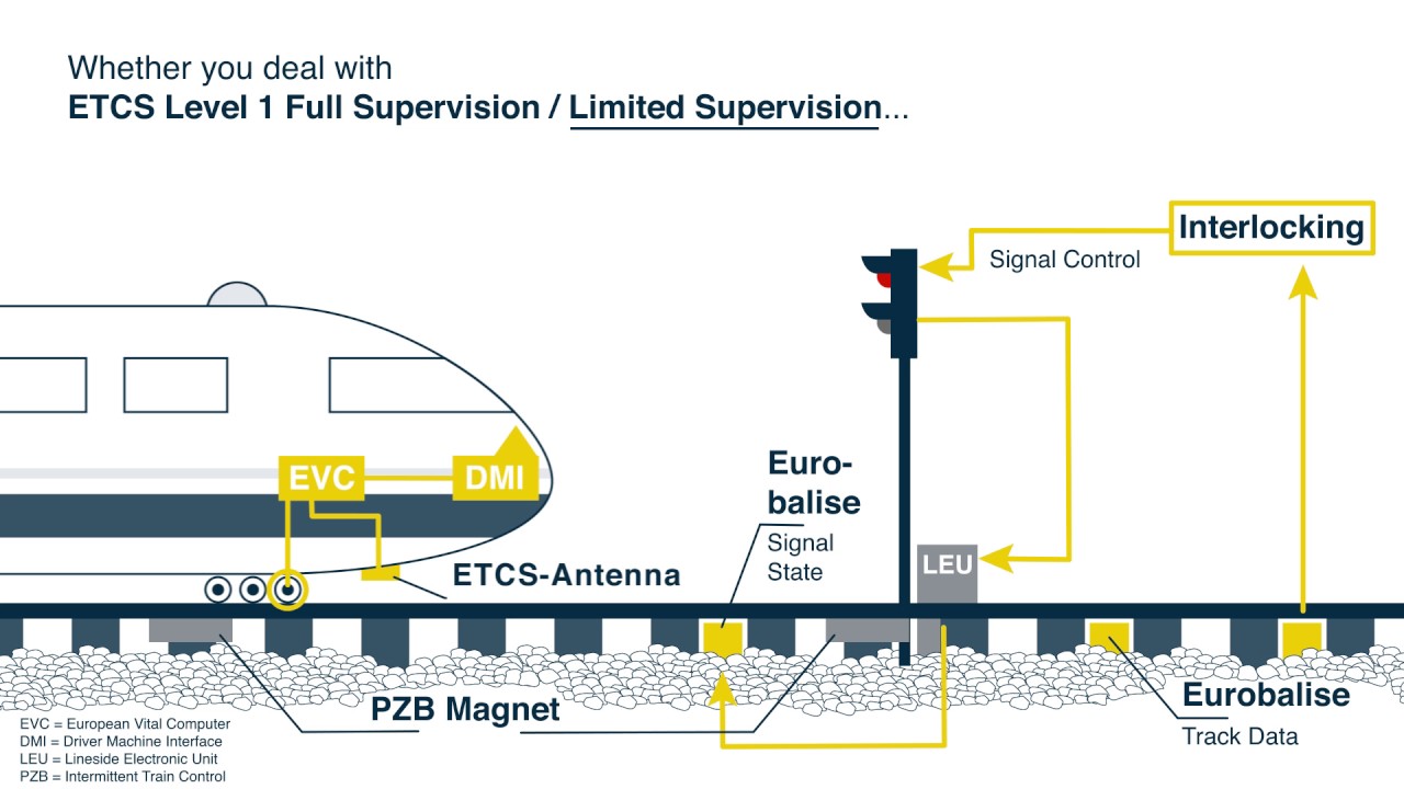 quattron management consulting GmbH