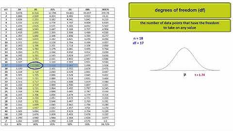 degrees of freedom Explained and Applied to a 2 Sample t Test