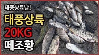 태풍이 온다고?? 그래도 고기는 잡아야지.net fishing