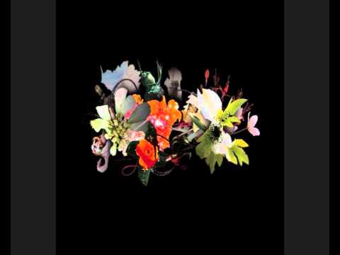 Deadly Avenger-invincible