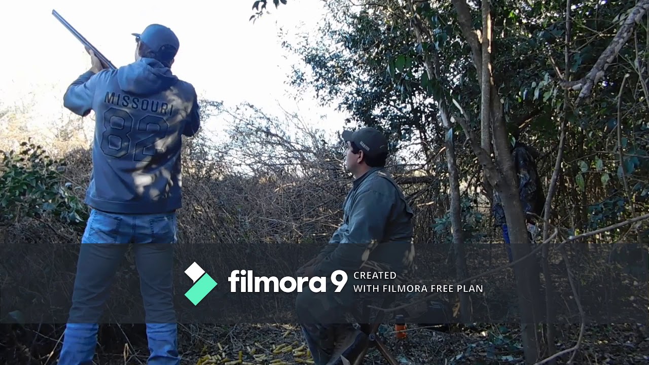 Argentina Dove Hunt 2019