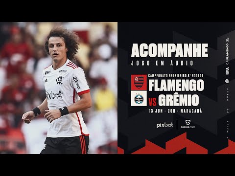 Campeonato Brasileiro | Flamengo x Grêmio - PRÉ E PÓS-JOGO EXCLUSIVO FLATV