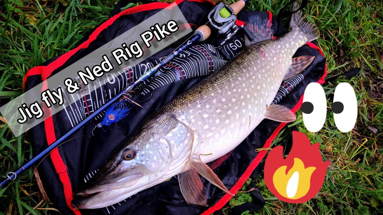 Pike, yes that's right Pike! UK Pike on a Jig fly and some bonus Pike  fishing footage 