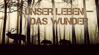 Dokumentationen Für Kinder Dokumentationen Für Kinder