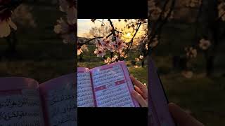 Download Lagu ✨ Surah Ar-Rahman with Nature 🌸 | Beautiful Quran Recitation at Sunset 🌅 #islamic #travel #shorts MP3 Download Lagu ✨ Surah Ar-Rahman with Nature 🌸 | Beautiful Quran Recitation at Sunset 🌅 #islamic #travel #shorts MP3