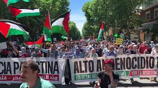 Manifestación estatal en apoyo a Palestina 11/5 - Madrid