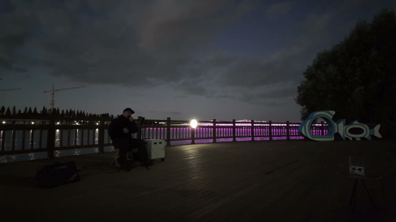 #버스커#아그로#엠씨더맥스#백야#커버#성성호수공원#버스킹#천수호