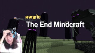 ผจญภัยกับผองเพื่อนใน The End หรือ End city | Minecraft