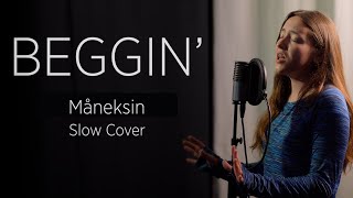 Beggin' - Måneskin Female Slow Cover Resimi