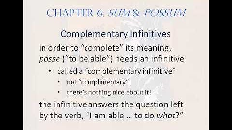 Chapter 6: Sum and Possum