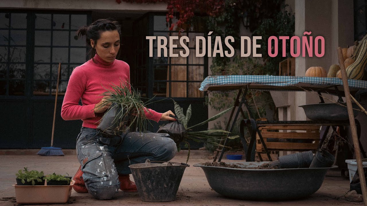 МЕДЛЕННАЯ ЖИЗНЬ В ГОРАХ ☁ Прошло несколько дней с тех пор, как мы ПОКИНУЛИ ГОРОД, чтобы ЖИТЬ В ДЕ...