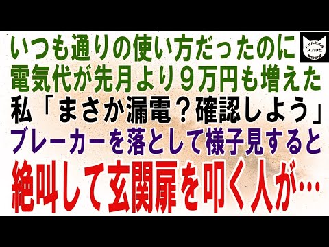 【スカッとする話】去年と使い方が変わってないのに電気代が2万円→10万円に…私「絶対おかしいよね。原因を探そう」全てのブレーカーを切った翌朝、半狂乱で玄関扉を叩く人が現れ…