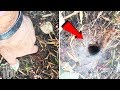 10 STRANGEST Discoveries Found In People's Backyards