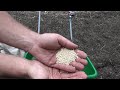 Planting The Millet Patch For Animal Feed