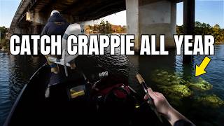 Why I Fish Bridges Every Single Month of the Year