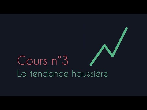 Vidéo: Qu'est-ce que la course haussière signifie ?