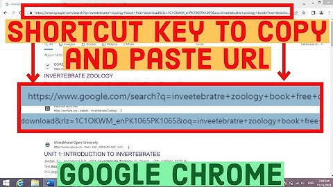 Shortcut Key to Copy and Paste URL in Google Chrome | Shortcut Key to Copy URL in Chrome | Chrome