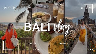 BALI VLOG #1 | monkey forest, tarasy ryżowe, pyszne śniadania i wypadek na skuterze