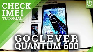 IMEI Information in GOCLEVER Quantum 600 - Read IMEI Number